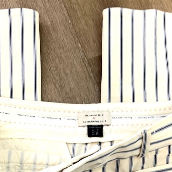 ANTHROPOLOGIE The Essential Slim Striped Cropped Pants Stretch
Cream/Blue Size 8 - Picture 2 of 10